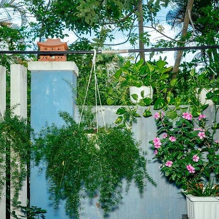 Green Bud Hostel And Homestay Хойан Экстерьер фото