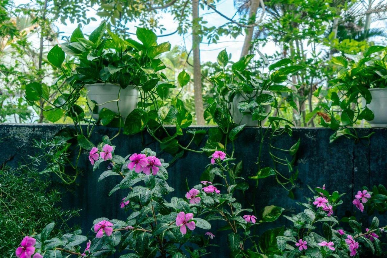 Green Bud Hostel And Homestay Хойан Экстерьер фото